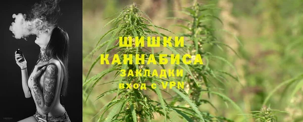 ALPHA-PVP Богородицк