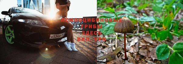 ALPHA-PVP Богородицк